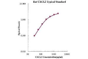 ELISA image for Chemokine (C-X-C Motif) Ligand 2 (CXCL2) ELISA Kit (ABIN3198521) (CXCL2 Kit ELISA)