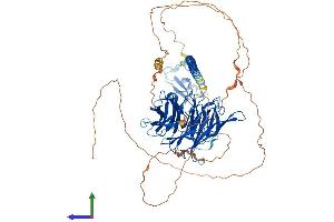 AlphaFold protein structure predicition of Mouse Recombinant Rfwd3 Protein, UniprotID Q8CIK8