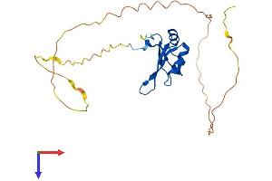 AlphaFold protein structure predicition of Mouse Recombinant Rbm24 Protein, UniprotID D3Z4I3