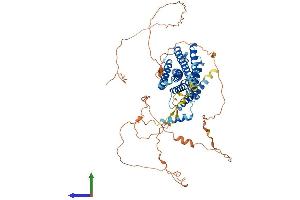 AlphaFold protein structure predicition of Mouse Recombinant Gpr153 Protein, UniprotID Q8K0Z9