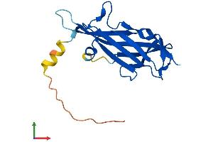 AlphaFold protein structure predicition of Human Recombinant ASAH2B Protein, UniprotID P0C7U1