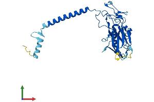 AlphaFold protein structure predicition of Mouse Recombinant Atp4b Protein, UniprotID P50992