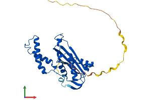 AlphaFold protein structure predicition of Human Recombinant GCH1 Protein, UniprotID P30793