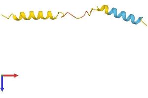 AlphaFold protein structure predicition of Human Recombinant ARHGAP5-AS1 Protein, UniprotID Q96IT6