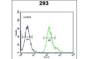 PCB Antibody (N-term) (ABIN651181 and ABIN2840115) flow cytometric analysis of 293 cells (right histogram) compared to a negative control cell (left histogram). (PMPCB anticorps  (N-Term))