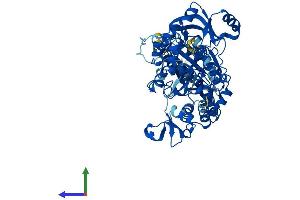 AlphaFold protein structure predicition of Human Recombinant PAPSS2 Protein, UniprotID O95340