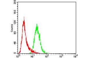 Flow cytometric analysis of Hela cells using WTAP mouse mAb (green) and negative control (red).