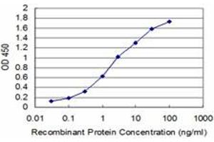 Detection limit for recombinant GST tagged MIB2 is approximately 0. (MIB2 anticorps  (AA 381-480))