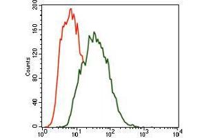 Flow cytometric analysis of SK-N-SH cells using MARK3 mouse mAb (green) and negative control (red).