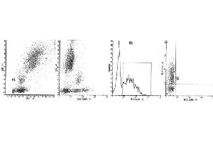 Image no. 1 for anti-CD38 antibody (ABIN1106330) (CD38 anticorps)