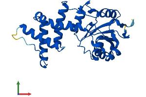 AlphaFold protein structure predicition of Mouse Recombinant Enoph1 Protein, UniprotID Q8BGB7