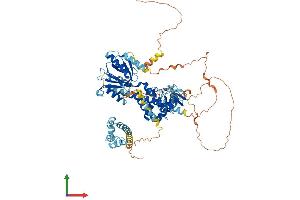 AlphaFold protein structure predicition of Mouse Recombinant Eps8l2 Protein, UniprotID Q99K30