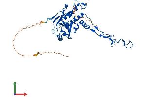 AlphaFold protein structure predicition of Human Recombinant MRPL4 Protein, UniprotID Q9BYD3
