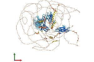 AlphaFold protein structure predicition of Mouse Recombinant Palld Protein, UniprotID Q9ET54