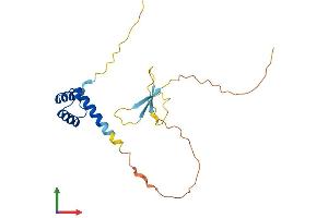 AlphaFold protein structure predicition of Human Recombinant DPRX Protein, UniprotID A6NFQ7