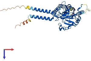 AlphaFold protein structure predicition of Human Recombinant MPPE1 Protein, UniprotID Q53F39
