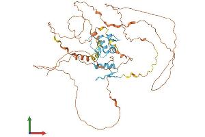 AlphaFold protein structure predicition of Mouse Recombinant Klf4 Protein, UniprotID Q60793