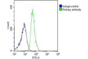 Overlay histogram showing U-2OS cells stained with Antibody (green line). (HRPT2 anticorps  (AA 132-161))