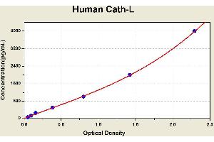 Diagramm of the ELISA kit to detect Human Cath-Lwith the optical density on the x-axis and the concentration on the y-axis.