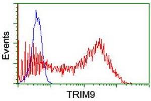 Image no. 4 for anti-Tripartite Motif Containing 9 (TRIM9) (AA 284-669) antibody (ABIN1491329) (TRIM9 anticorps  (AA 284-669))