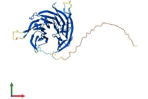 AlphaFold protein structure predicition of Human Recombinant SEH1L Protein, UniprotID Q96EE3