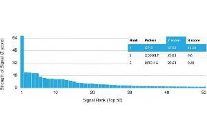 Analysis of Protein Array containing more than 19,000 full-length human proteins using GP2 Mouse Monoclonal Antibody (GP2/1803) Z- and S- Score: The Z-score represents the strength of a signal that a monoclonal antibody (Monoclonal Antibody) (in combination with a fluorescently-tagged anti-IgG secondary antibody) produces when binding to a particular protein on the HuProtTM array. (GP2 anticorps  (AA 35-179))