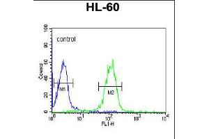 Flow cytometric analysis of HL-60 cells (right histogram) compared to a negative control cell (left histogram).