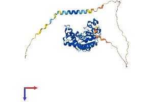 AlphaFold protein structure predicition of Human Recombinant HS3ST3B1 Protein, UniprotID Q9Y662