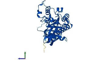 AlphaFold protein structure predicition of Human Recombinant ASPA Protein, UniprotID P45381