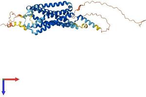 AlphaFold protein structure predicition of Mouse Recombinant Gpr39 Protein, UniprotID Q5U431