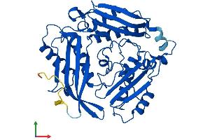 AlphaFold protein structure predicition of Human Recombinant MAT2A Protein, UniprotID P31153