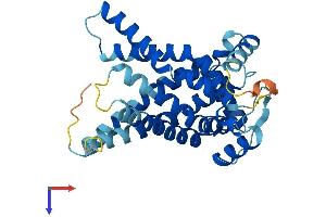 AlphaFold protein structure predicition of Mouse Recombinant Slc25a17 Protein, UniprotID O70579