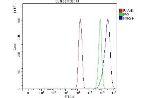 Flow Cytometry analysis of HEPA1-6 cells using anti-FXR2 antibody (ABIN7600138). (FXR2 anticorps  (AA 153-651))