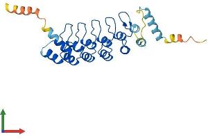 AlphaFold protein structure predicition of Human Recombinant ANKRD7 Protein, UniprotID Q92527