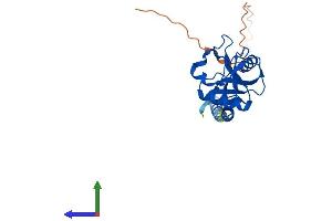 AlphaFold protein structure predicition of Mouse Recombinant Cd209a Protein, UniprotID Q91ZX1