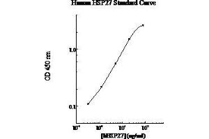 ELISA image for Heat Shock Protein 27 (HSP27) ELISA Kit (ABIN612709) (HSP27 Kit ELISA)