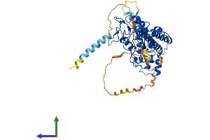 AlphaFold protein structure predicition of Human Recombinant HS6ST3 Protein, UniprotID Q8IZP7
