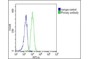 Overlay histogram showing K562 cells stained with (ABIN652508 and ABIN2842341)(green line).