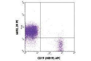 Flow Cytometry (FACS) image for anti-CD96 (CD96) antibody (PE) (ABIN2663659) (CD96 anticorps  (PE))