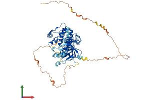AlphaFold protein structure predicition of Human Recombinant RPS6KB2 Protein, UniprotID Q9UBS0