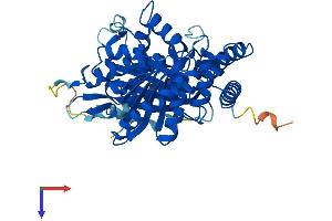 AlphaFold protein structure predicition of Mouse Recombinant Tuba4a Protein, UniprotID P68368