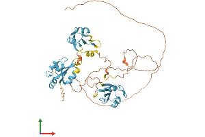 AlphaFold protein structure predicition of Mouse Recombinant Hnrnph2 Protein, UniprotID P70333