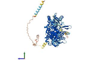 AlphaFold protein structure predicition of Human Recombinant EXT1 Protein, UniprotID Q16394