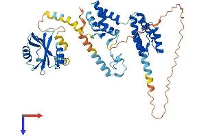 AlphaFold protein structure predicition of Mouse Recombinant Pnma3 Protein, UniprotID Q8JZW8