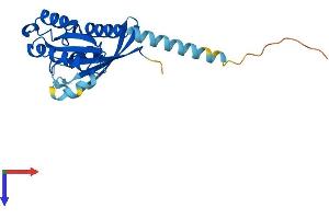 AlphaFold protein structure predicition of Human Recombinant RAB15 Protein, UniprotID P59190