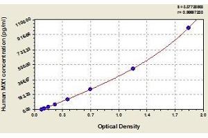Typical standard curve (MX1 Kit ELISA)
