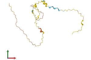 AlphaFold protein structure predicition of Human Recombinant PSORS1C1 Protein, UniprotID Q9UIG5