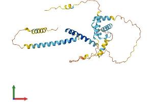 AlphaFold protein structure predicition of Human Recombinant STRA8 Protein, UniprotID Q7Z7C7