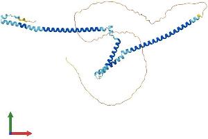 AlphaFold protein structure predicition of Human Recombinant WTAP Protein, UniprotID Q15007