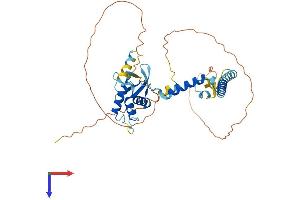 AlphaFold protein structure predicition of Mouse Recombinant Sec62 Protein, UniprotID Q8BU14